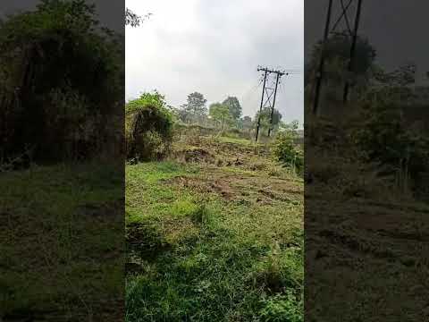  Agricultural Land 2 Acre for Sale in Kamthi Road, Nagpur