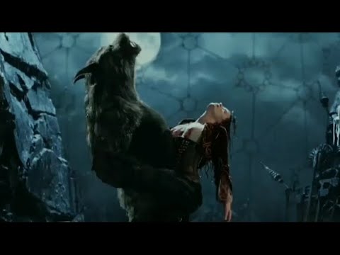 IN VIVO FEAT DADO POLUMENTA PARTIMANIJAK X VAN HELSING AMW #amw #invivo #music #vanhelsing