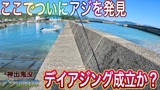 ここでついにアジを発見！デイアジング成立なるか！？【神出鬼没！アジ調査隊#9】