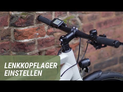 Adjusting the steering head bearings on bicycles and e-bikes | Prophete