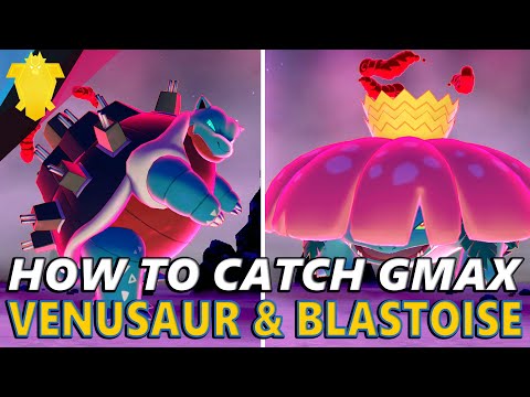 How to Catch BOTH WILD G-Max Venusaur & G-max Blastoise - Pokemon Sword and Shield Isle of Armor