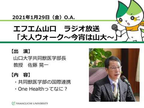 共同獣医学部の国際連携／One Healthってなに？　山口大学共同獣医学部長　佐藤 晃一 教授（21.1.29 O.A.）【山口大学／大人ウォーク～今宵は山大～】