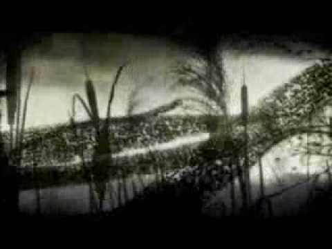 .KaUpRoD Morgan Souvenir D'un Gars Hardcore Encore vizu Trolltek