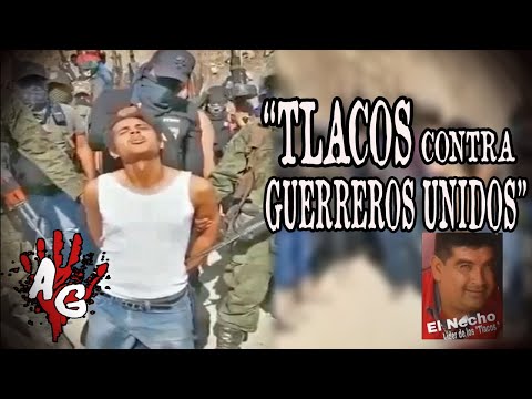 TRAIDOR DEC4PITAD0 | LOS TLACOS CONTINUAN "LA LIMPIA" CONTRA GUERREROS UNIDOS