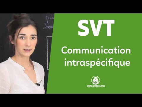 Communication intraspécifique