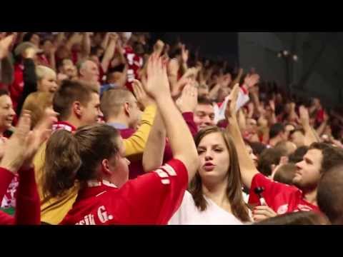 MKB-MVM Veszprém - RK Celje Pivovarna Lasko 2013.11.23.