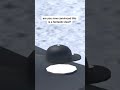 This Roblox hat gives you 3 hats for the price of 1 #Roblox
