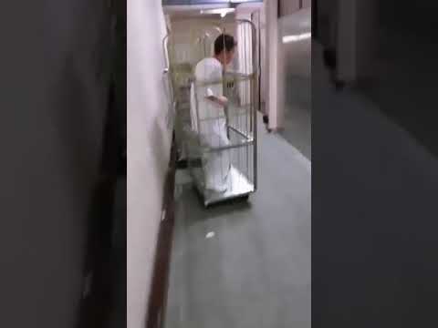 Majmun u podrumu #shorts