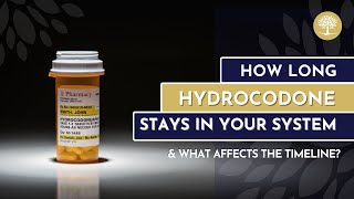 How Long Does Hydrocodone Stay in Your System - The Recovery Village Ridgefield