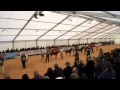 Royal Welsh Winter Show Best Yearling Colt