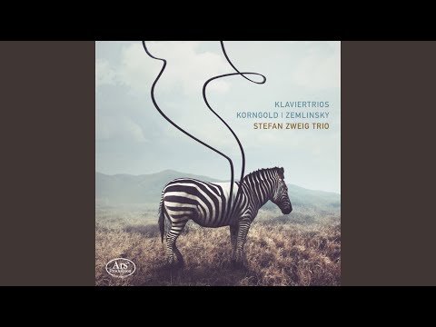 Piano Trio in D Major, Op. 1: I. Allegro non troppo, con espressione