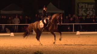 Video von Don Androsso