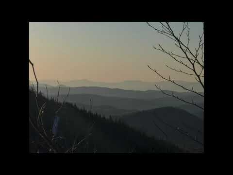 Zellbewusstsein - Heilmeditation mit Katarina Michel