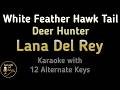 Lana Del Rey White Feather Hawk Tail Deer Hunter Karaoke Instrumental Lower Higher Male Original Key