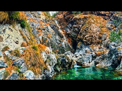 A passo di Friuli | Da Lesis (Claut) a Casera Colciavath