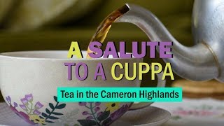 Cameron Highlands Malaysia: A salute to tea