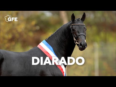 DIARADO - GFE 2022