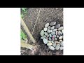 NEW SERIES!! Acorn Friends - Season 1 Episode 1 - The Zipline