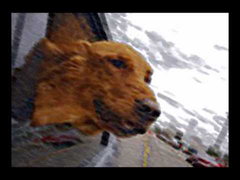 Abraham-Hicks: The Most Profound Question... Ever Asked!