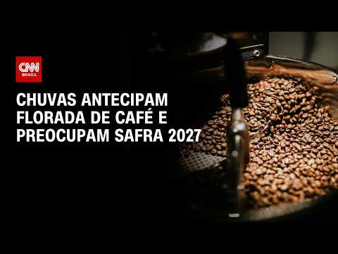 Chuvas antecipam florada de café arábica e preocupam safra 2027 | CNN AGRO NEWS