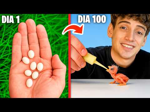 🐣I Rescued 100 Mystery Eggs and They Hatched🐣