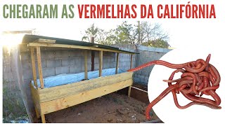 Miniatura do vídeo