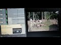Cannibal Ferox Make Them Die Slowly Theme