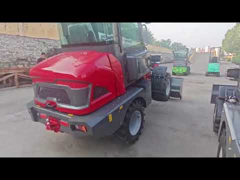 China E Lader Teil 1 Vorstellung  günstiger elektrischer Lader  / E Lader / Schmitt E Lader