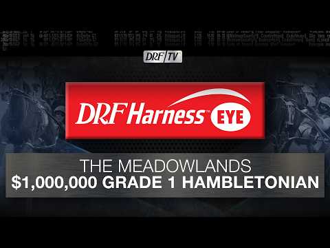 Drf Harness