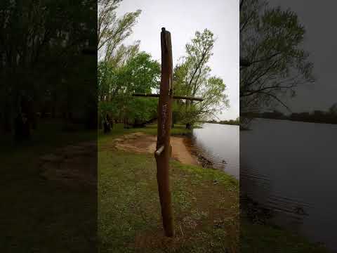 Te invito a conocer el camping Grunwald  en Villa paranacito - Entre Rios