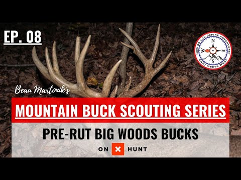 HOW TO HUNT BIG WOODS BUCKS IN THE PRE-RUT | Mountain Buck Scouting Series | Ep. 08