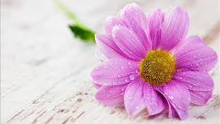 Rod Stewart - Trouble