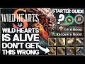 Wild Hearts is BACK - Ultimate Starter Guide & EVERYTHING You Need to Know - Best Weapon & More!