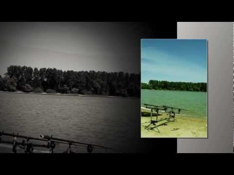 Polonia Carp Team Michał i Przyjaciele Przeczyce Lipiec 2012