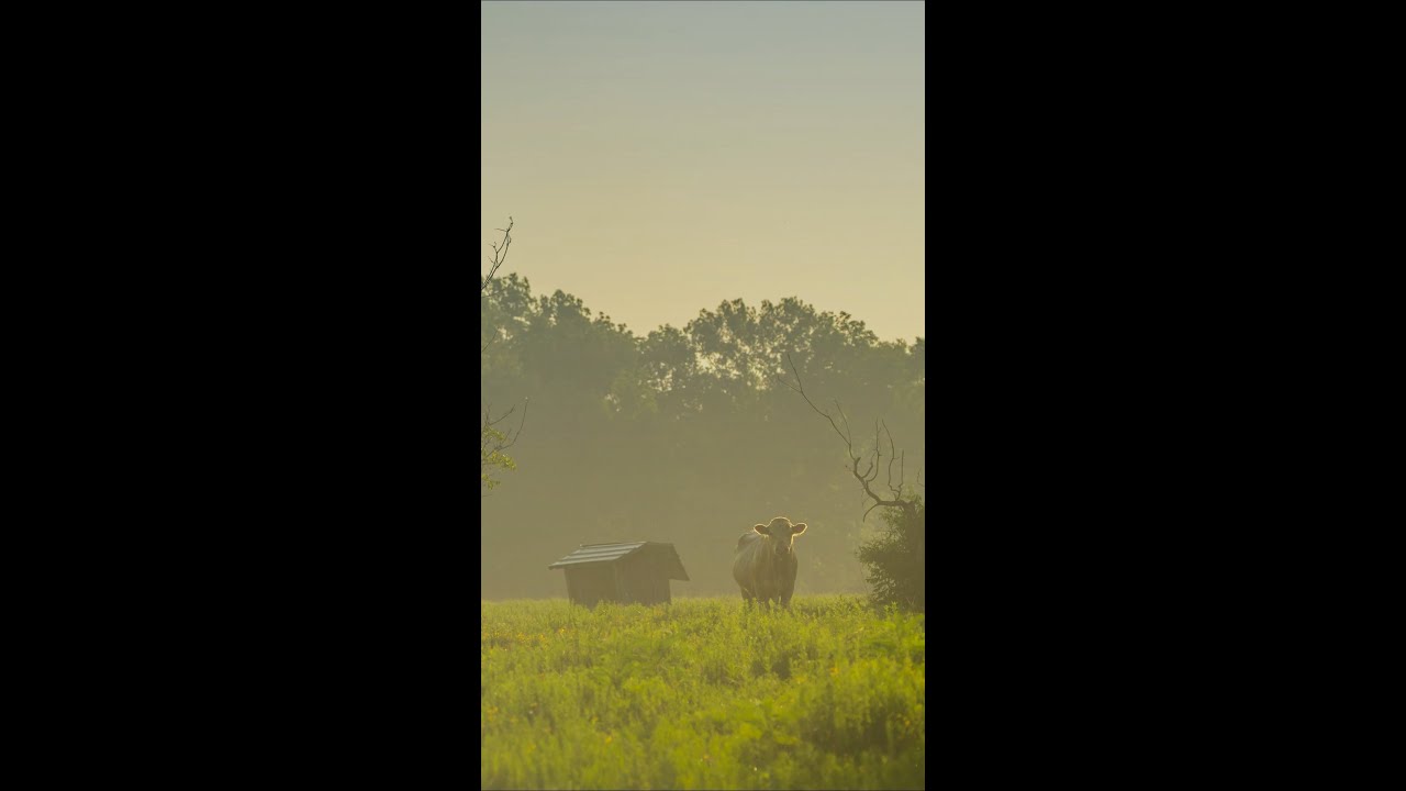 312 T Ranch