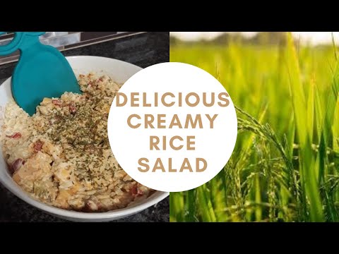 Traditional delicious South African rice salad