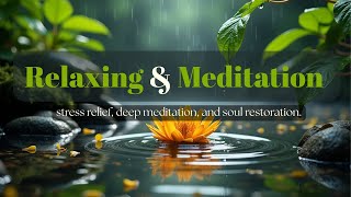 2 Hours Silent Bamboo Courtyard 🌿 | Bamboo Water Drop ASMR for Sleep