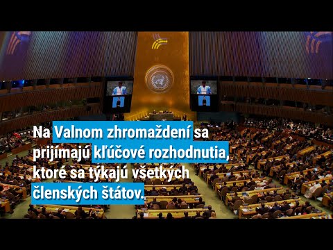 Čo je Valné zhromaždenie OSN?