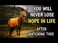 YOU WILL NEVER LOSE HOPE IN YOUR LIFE | MOTIVATIONAL STORY OF A DEER | #hope