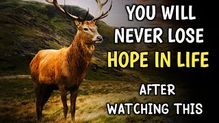 YOU WILL NEVER LOSE HOPE IN YOUR LIFE | MOTIVATIONAL STORY OF A DEER | #hope