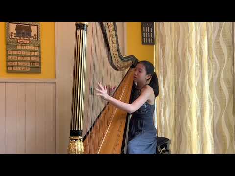 Mikhail Mchedelov- Variations on a Theme of Paganini