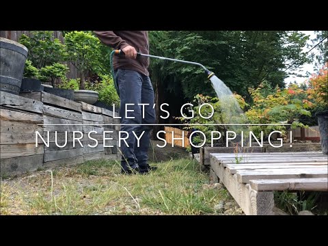 Nursery Shopping for Bonsai Material