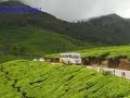 Munnar Kerala Waterfalls Tea Garden Dam Fog Spice Garden