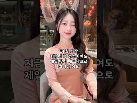 11월 시작, 지금이 극 성수기여도 베트남으로 제일 많이 떠나는 이유 #다낭 #다낭자유여행 #황제투어