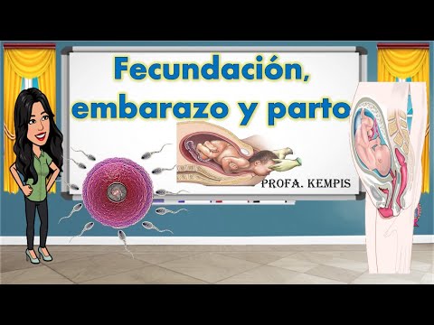 Fertilization, pregnancy and childbirth