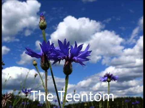 Trea Dobbs  -De Wolken.wmv