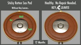 Saxophone Pad Rot Time Lapse - Eb leather key pad