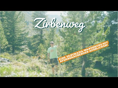 Zirbenweg: Eine Panorama-Wanderung mit atemberaubenden Ausblicken!