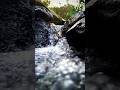 Running River Sound Natural Shot River Water Relaxation Viral