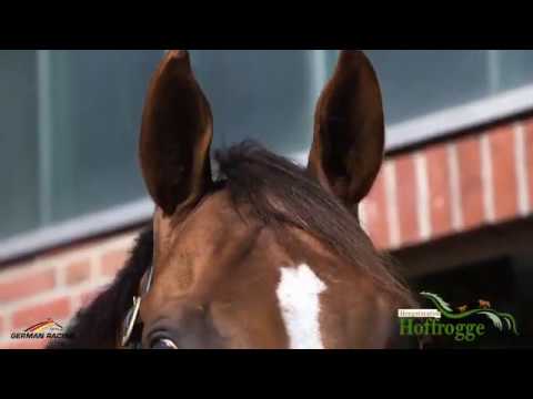 „Blut ist der Saft, der Wunder schafft“ - ASAGAO XX